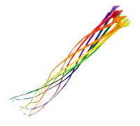 Queue de cerf-volant HQ Soft Swirl Rainbow 3 m - 8 Colours 126452 Arc-en-ciel 43 x 300 cm