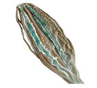 Queue de cheval élastique avec dreadlock, extension de cheveux style boho avec perles, facile à appliquer en une minute grâce à l'élastique, légère, disponible en différentes couleurs (vert)