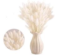 Queue de Lapin Fleur Sechee,Fleurs Séchées Naturelles Herbe de Pampa 30 Bouquet de Fleurs Séchées Roseau de Pampa Herbe pour Chambre à Coucher Intérieur la Décoration de la Maison de Mariage
