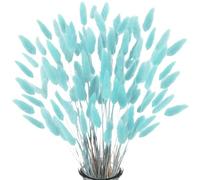 Queue de Lapin Fleur Sechee,Fleurs Séchées Naturelles Herbe de Pampa 60 Bouquet de Fleurs Séchées Roseau de Pampa Herbe pour Chambre à Coucher Intérieur la Décoration de la Maison de Mariage,Bleu