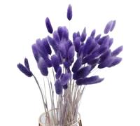 Queue de Lapin Fleur Sechee,Fleurs Séchées Naturelles Herbe de Pampa 60 Bouquet de Fleurs Séchées Roseau de Pampa Herbe pour Chambre à Coucher Intérieur la Décoration de la Maison de Mariage,Violet