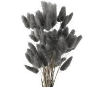 Queue de Lapin Fleur Sechee,Fleurs Séchées Naturelles Herbe de Pampa 60 Bouquet de Fleurs Séchées Roseau de Pampa Herbe pour Chambre à Coucher Intérieur la Décoration de la Maison de Mariage,Gris