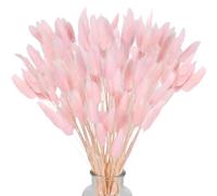 Queue de Lapin Fleur Sechee,Fleurs Séchées Naturelles Herbe de Pampa 60 Bouquet de Fleurs Séchées Roseau de Pampa Herbe pour Chambre à Coucher Intérieur la Décoration de la Maison de Mariage,Rose