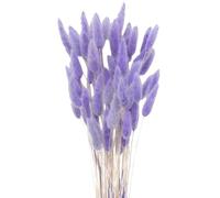 Queue de Lapin Fleur Sechee,Fleurs Séchées Naturelles Herbe de Pampa 60 Bouquet de Fleurs Séchées Roseau de Pampa Herbe pour Chambre à Coucher Intérieur la Décoration de la Maison de Mariage,Violette