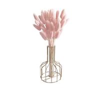 Queue de Lapin séchée Fleur Queue de Lapin Naturelle Bouquet Fleurs séchées Herbe la Pampa décor pour la décoration intérieure 50 pièces 50 cm Style Clair 2