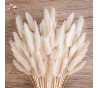 Queues de lapin moelleuses, 60 pièces, Bouquet d'herbe, style Boho, Vase de décoration pour la maison, Pampas naturel, fleurs séchées, Lagurus Ovatus, décoration de mariage Brown