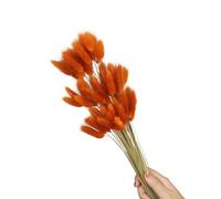 Queues de lièvre Naturelles, 60 pièces, Fleurs séchées, 23.6 Pouces, de la pour décoration de fête de Mariage, décoration de Maison, Vacances