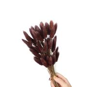 Queues de lièvre Naturelles, 60 pièces, Fleurs séchées, 23.6 Pouces, de la pour décoration de fête de Mariage, décoration de Maison, Vacances