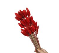 Queues de lièvre Naturelles, 60 pièces, Fleurs séchées, 23.6 Pouces, de la pour décoration de fête de Mariage, décoration de Maison, Vacances