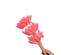 Queues de lièvre Naturelles, 60 pièces, Fleurs séchées, 23.6 Pouces, de la pour décoration de fête de Mariage, décoration de Maison, Vacances