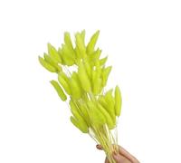 Queues de lièvre Naturelles, 60 pièces, Fleurs séchées, 23.6 Pouces, de la pour décoration de fête de Mariage, décoration de Maison, Vacances