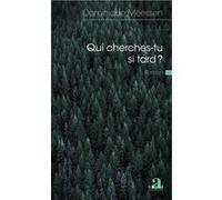 Qui cherches-tu si tard ? Dominique Meessen (Auteur)