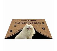 Qui Est Aux Commandes Nous Vivons Juste Ici Paillasson De Bienvenue Doux Paillasson D'Entree Antidérapant Tapis De Bain pour Salon D'Entrée Bain 40X60Cm