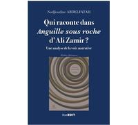 Qui Raconte Dans Anguille Sous Roche D'ali Zamir ? - Une Analyse De La Voix Narrative