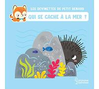 Qui se cache à la mer ? - Les devinettes de Petit Renard