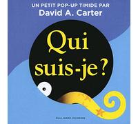 QUI SUIS-JE ?