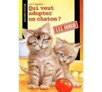 Qui veut adopter un chaton ?
