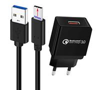 Quick Charge 3.0 Chargeur Secteur 18W et 1M Câble Type C - 10mm Connecteur | pour OUKITEL WP20 WP18 WP17 WP15 (S) WP13 WP10 5G WP9 WP7 WP5 Pro K15 Plus et Blackview/Doogee/Ulefone Téléphone Incassable