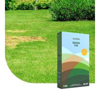 Quick Fix : Semences de gazon de réparation - 1 kg pour 50 m² - Restaure les taches chauves - Avec enrobage pour une germination optimale - Reprise dès 6 °C