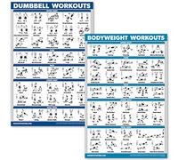 QUICKFIT Lot de 2 posters laminés pour exercices d'haltères et exercices de poids corporel - 45,7 x 68,6 cm