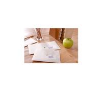 Avery Étiquettes d'adresse LR7165 - Blanches 100% recyclées - 99,1 x 67,7 mm - Boîte de 800