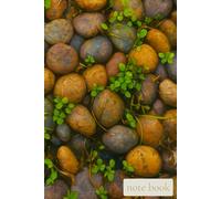 Quiet Field on Solid Ground: A Steady Notebook for Reflection, Patience, and Growing One Thought at a Time