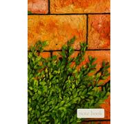 Quiet Field Rooted in Simple Days: A Grounded Notebook for Steady Writing, Reflection, and Everyday Balance