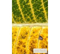 Quiet Field: Turning Light: A Notebook for Growth, Change, and Everyday Reflections