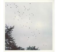 Quiet Life [Import Allemand]