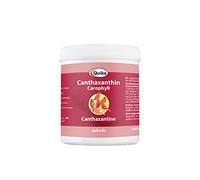 Quiko Canthaxantin/Carophyll 100g - Complément Alimentaire pour Oiseaux avec Facteur Rouge - pour Une Coloration Rouge concentrée - pour Les canaris, Les stellaires, Les Oiseaux des Bois, etc.