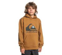 Quiksilver Big Logo - Sweat à Capuche - Garçon Enfant 8-16 Ans - 16 - Marron