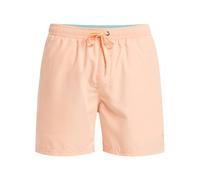 Quiksilver Boardshort SPL Fineline Volley 15 Homme Rose XS