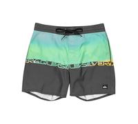 Quiksilver Everyday Half Jam 16 Shorts, Bloc de Mots Vert d'été, 30W Men's