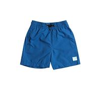 Quiksilver Everyday 13" Hort de Natación Para Chicos 2-7
