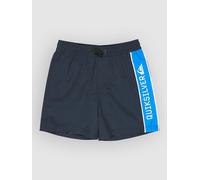 Quiksilver Everyday Clicker Volley 15 Kids Boardshort bleu T08