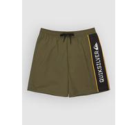 Quiksilver Everyday Clicker Volley 17 Boardshort vert M