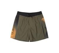 Quiksilver Everyday Holmes Volley 16" - Short de Bain - Garçon Enfant 8-16 Ans - 12 - Vert