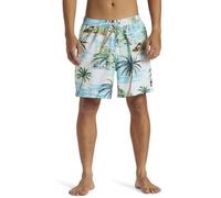 Quiksilver Everyday Mix 17" - Short de Bain pour Homme