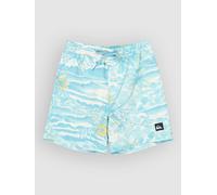 Quiksilver Everyday Printed Volley 14 Kids Boardshort à motifs T16