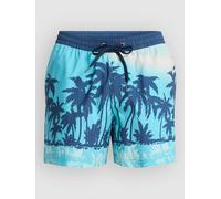 Quiksilver Everyday Printed Volley 15 Boardshort à motifs M