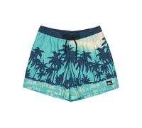 Quiksilver Everyday Printed Volley 15´´ Swimming Shorts Bleu L Homme