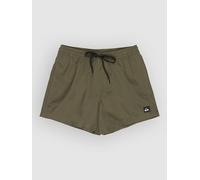 Quiksilver Everyday Solid Volley 15 Boardshort vert S