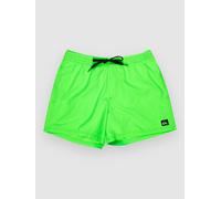 Vêtements Quiksilver Everyday Solid Volley 15 EQYJV04120 pour Accessoires S Gris