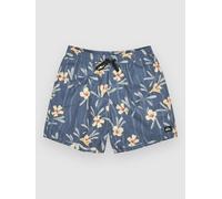 Quiksilver Short de Bain Everyday Straight Volley 17 Homme Bleu L