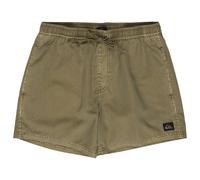 Quiksilver Everyday Surfwash Volley 15 Boardshort vert L