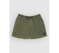 Quiksilver Everyday Surfwash Volley 15 Boardshort vert L