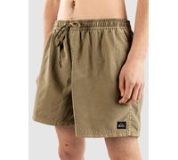 Quiksilver Homme Everyday Surfwash Volley 15 Maillot De Bain, Aloe, S EU