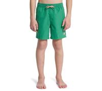 Quiksilver Short de Bain Everyday Volley YTH 14 Garçon Vert