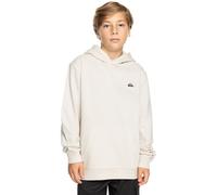 Quiksilver Garçon Basic Hoodie Youth Pull-Over, Birch, 14 Ans EU