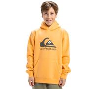 Quiksilver Garçon Big Logo Hoodie Youth Pull-Over, Chamois, 12 Ans EU